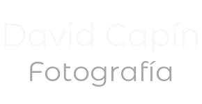 www.davidcapin.com